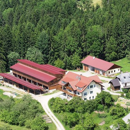 Ferienwohnungen Bauernhof Schilcher Sankt Stefan im Lavanttal Экстерьер фото