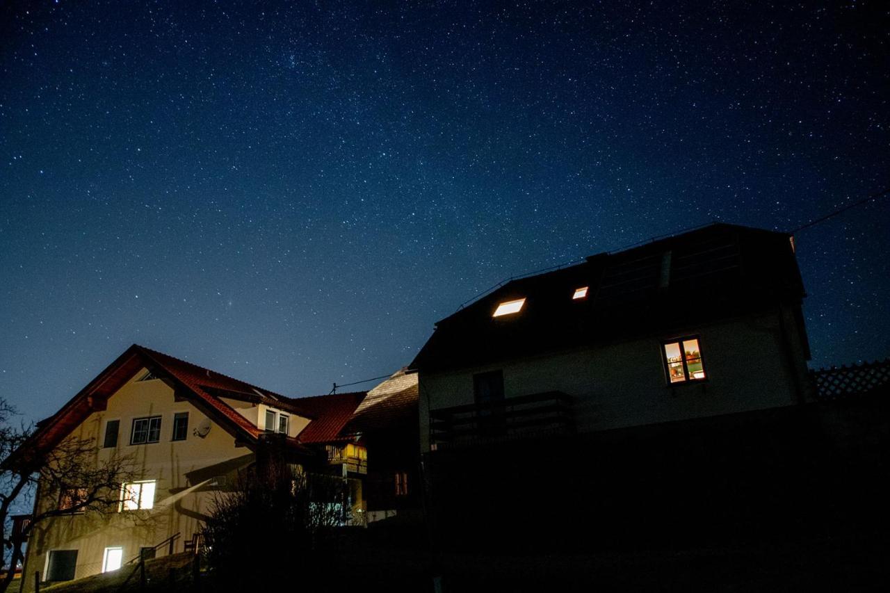 Ferienwohnungen Bauernhof Schilcher Sankt Stefan im Lavanttal Экстерьер фото