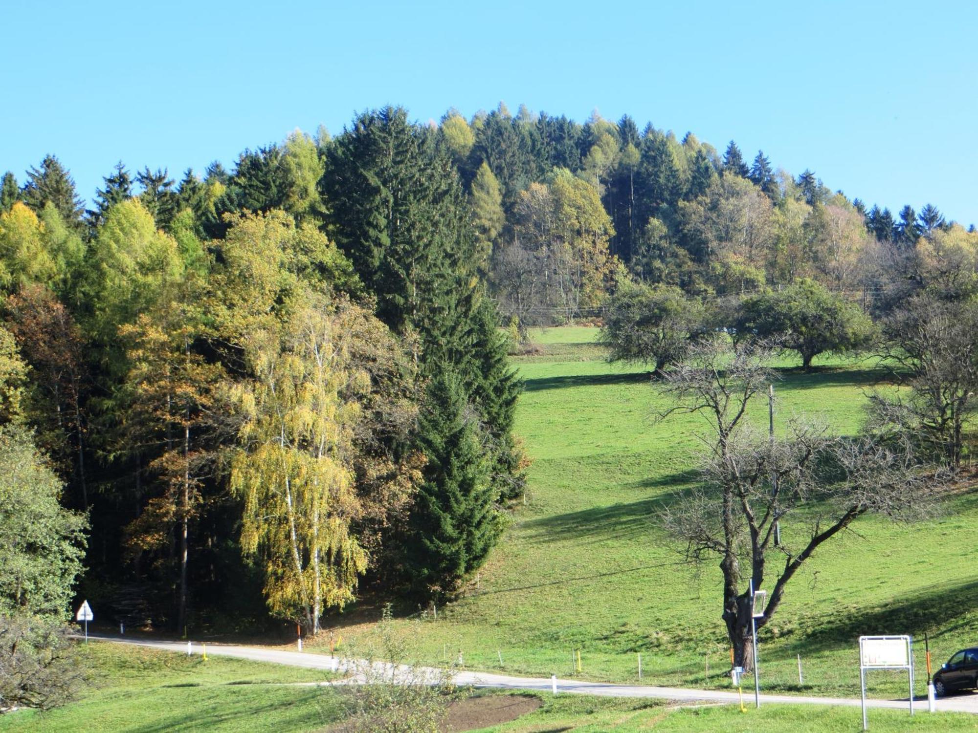 Ferienwohnungen Bauernhof Schilcher Sankt Stefan im Lavanttal Экстерьер фото