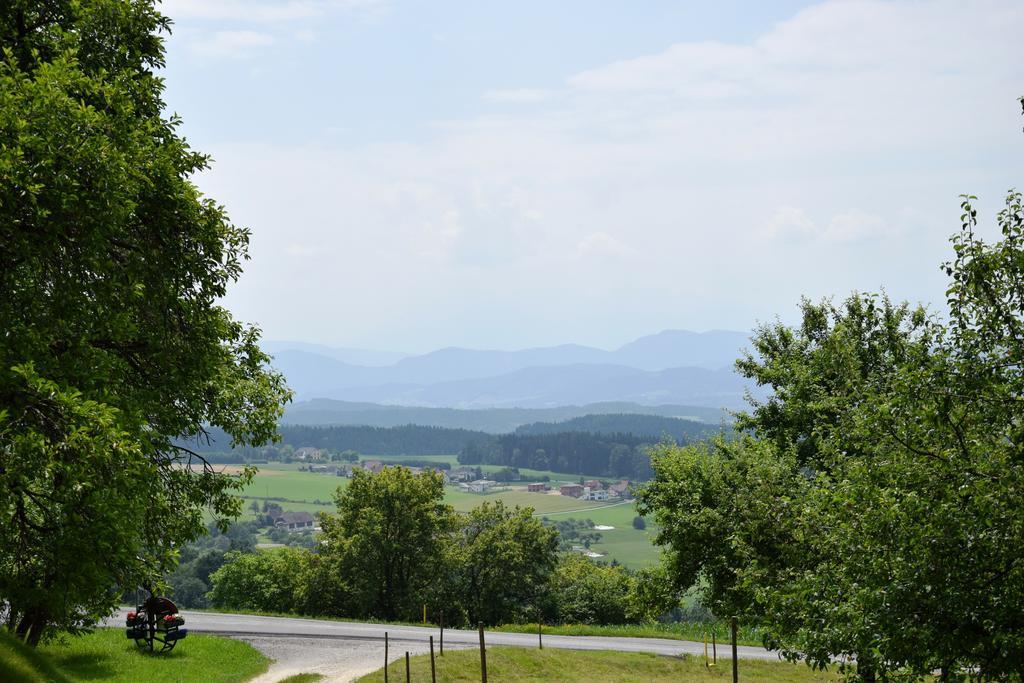 Ferienwohnungen Bauernhof Schilcher Sankt Stefan im Lavanttal Экстерьер фото