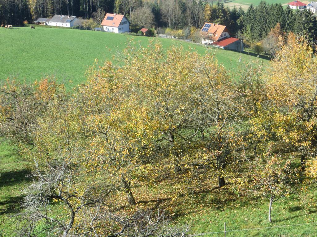 Ferienwohnungen Bauernhof Schilcher Sankt Stefan im Lavanttal Экстерьер фото